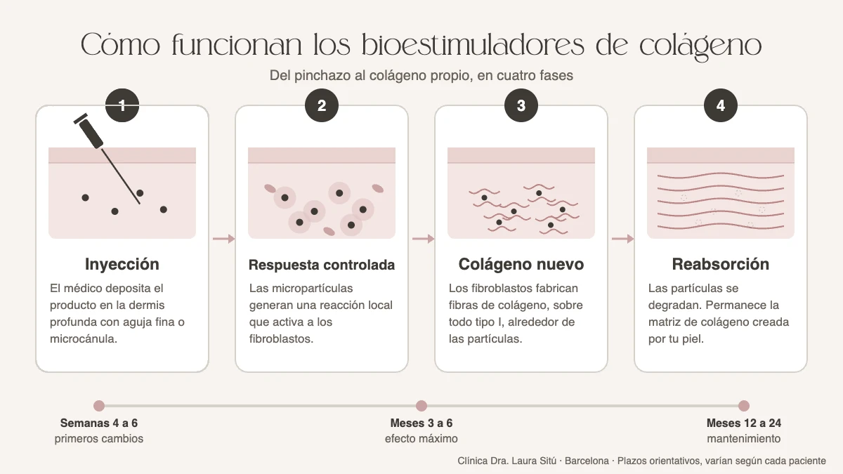 Cómo funcionan los bioestimuladores de colágeno paso a paso